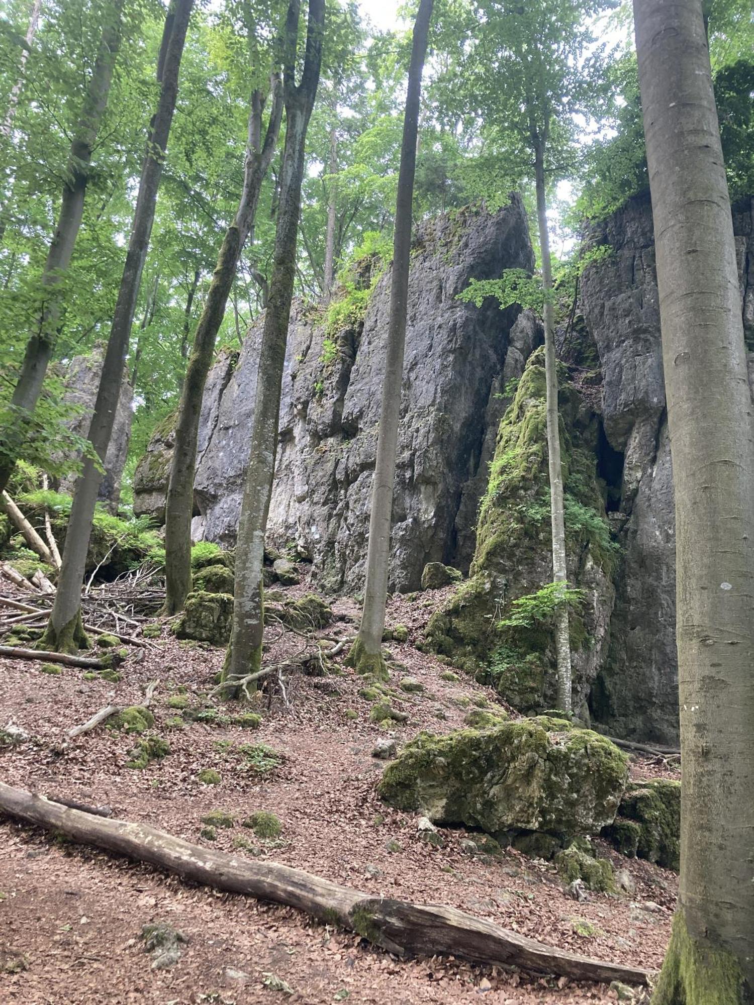 Hartenstein  Brunnerhof Urlaub Auf Dem Land 아파트 외부 사진